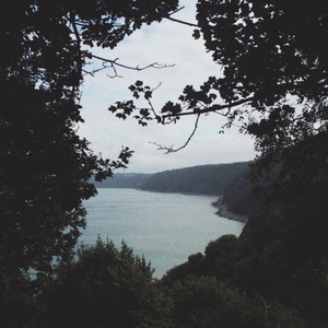 欧美又粗又硬又黄又爽视频
