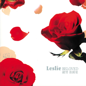 欧美又粗又硬又黄又爽视频
